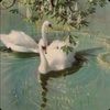 isabellam_915